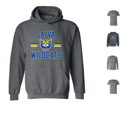 Wildcats on Dark Heather Grey - Pick your shirt style